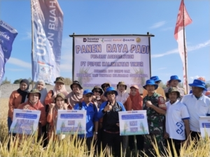 Serka Jubaidin Kawal Panen Agrosolution Bersama Pupuk Kaltim