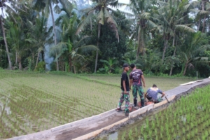 Kerja Keras Satgas TMMD, Petani Desa Batuan Segera Nikmati Akses Baru