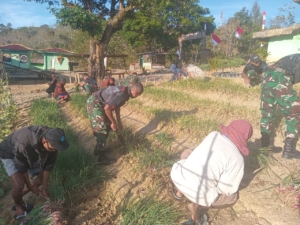 Lahan Pos Kering Bisa Menghasilkan, Bukti Usaha Pos Kewar Ajak Masyarakat Tanam Bawang