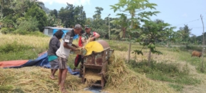Kegiatan Han Pangan Kodim 1602/Ende Perkuat Kemanunggalan TNI dan Rakyat di Watuneso