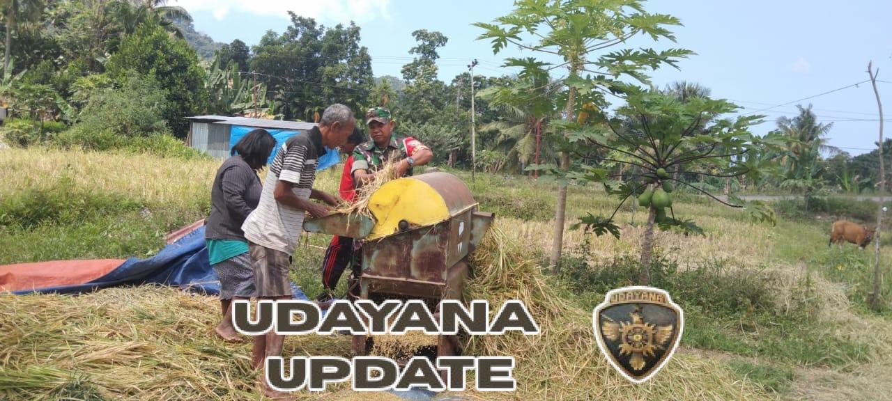 Kegiatan Han Pangan Kodim 1602/Ende Perkuat Kemanunggalan TNI dan Rakyat di Watuneso