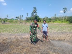 Babinsa Dampingi Petani Semprot Lahan Persiapan Tanam