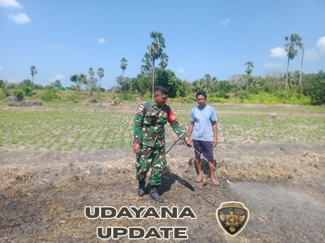 Babinsa Dampingi Petani Semprot Lahan Persiapan Tanam