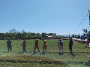 Dandim Dampingi DPR RI Lihat Langsung Tanaman Bawang di Lahan Percontohan