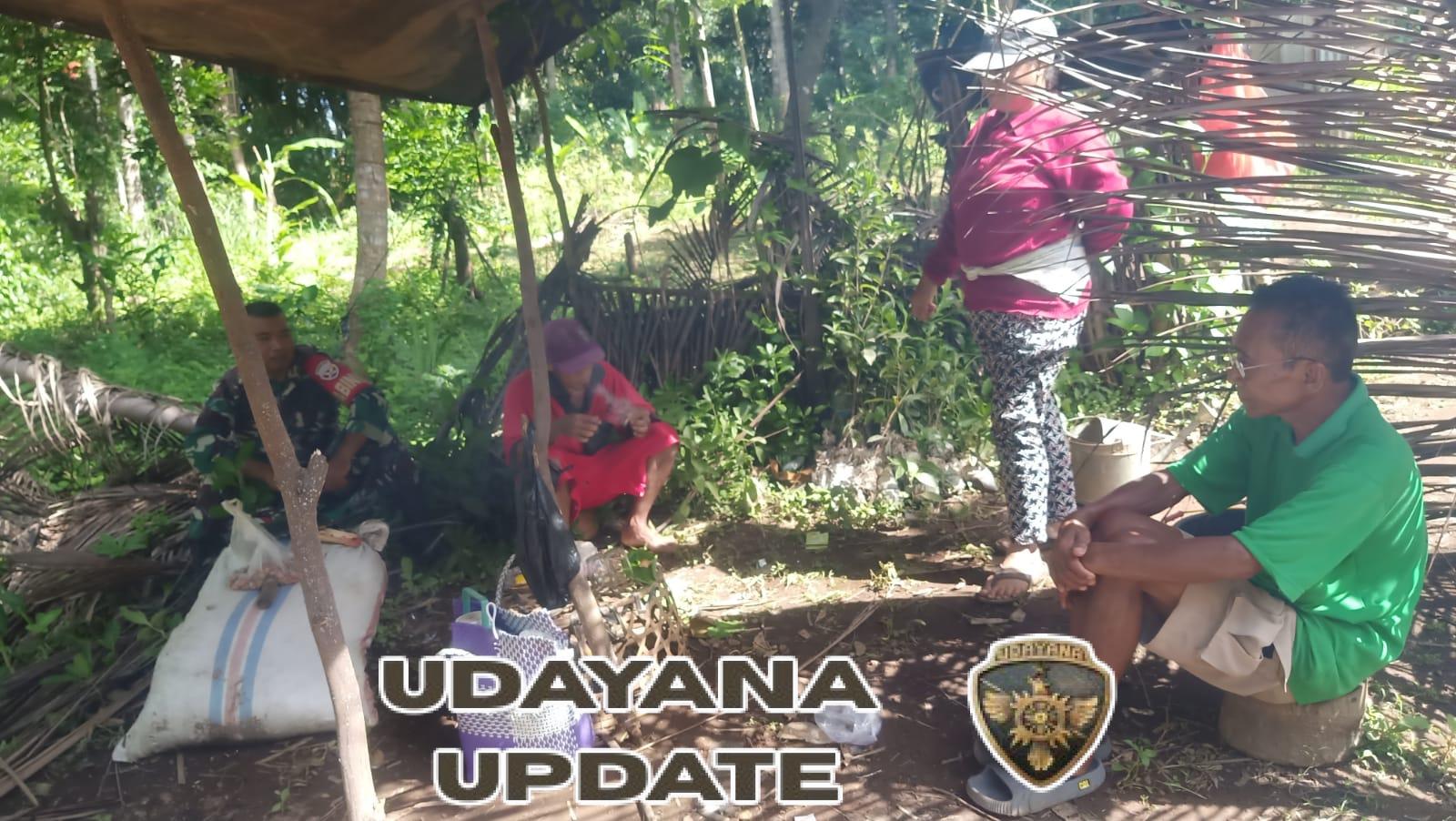 Petani Pembibitan Buah dan Bunga Terima Komsos dari Babinsa