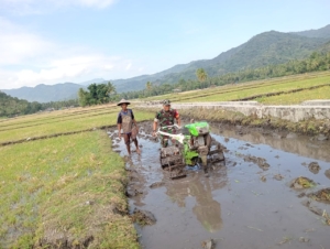 Tingkatkan Kemanunggalan TNI-Rakyat, Babinsa Laksanakan Komsos dan Monitoring Pertanian