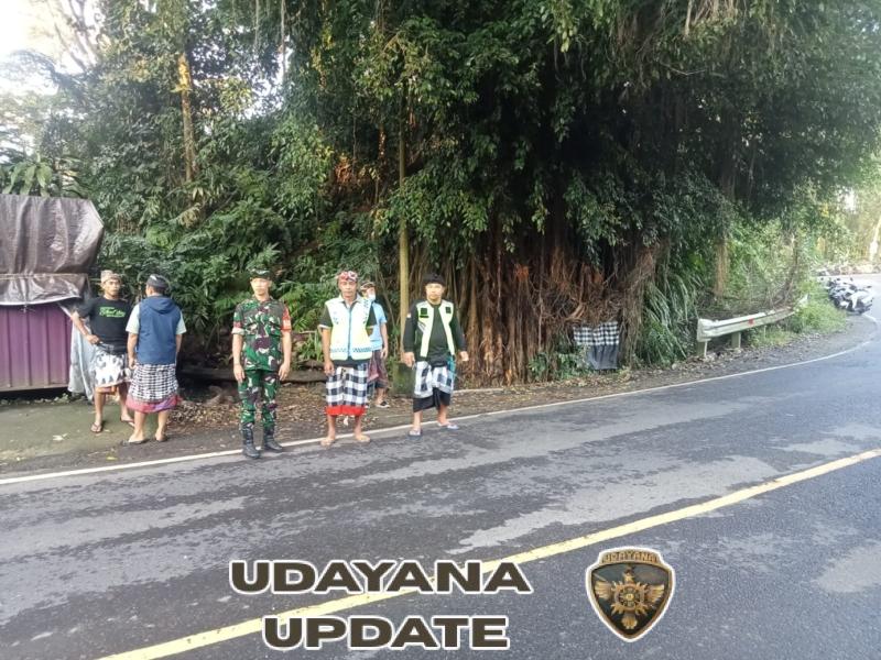 Ngaben Massal di Desa Adat Bulusung Libatkan 54 Sawa dari Empat Banjar Adat