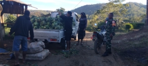 Babinsa Ende Aktif Jaga Keamanan dan Harmoni di Desa Mukureku