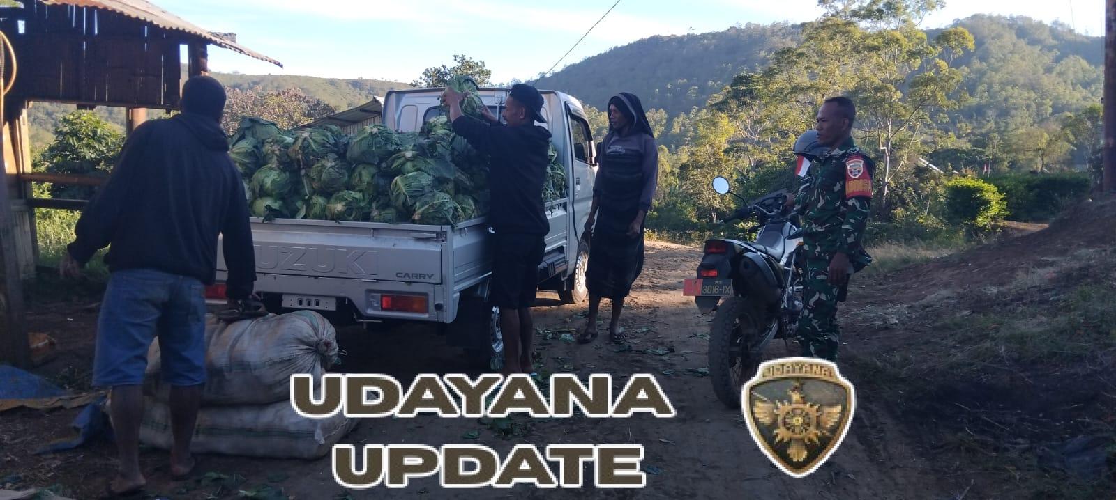 Babinsa Ende Aktif Jaga Keamanan dan Harmoni di Desa Mukureku