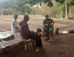 Babinsa Koramil 1618-05/Biut Ajak Petani Jalin Komunikasi dan Kebersamaan