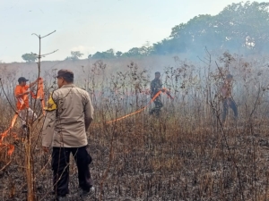 Babinsa dan Warga Bersama Padamkan Api, Selamatkan Permukiman Desa Tanamodu