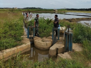 Sinergi Babinsa dan PPL Dukung Pertanian di Umbu Ratu Nggay Barat