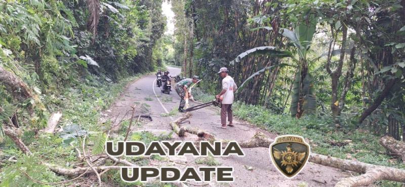 Peduli Lingkungan, Babinsa Bukian Turun Langsung Amankan Penebangan Pohon