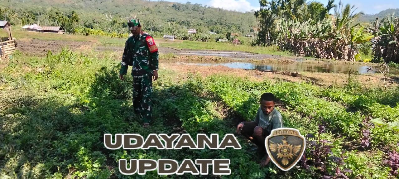 Kopda Bimo Bantu Bersihkan Lahan Sayur Milik Warga di Desa Malaipea