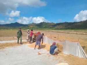 Babinsa Purnama Ajak Petani Kelola Hasil Panen untuk Kebutuhan Keluarga