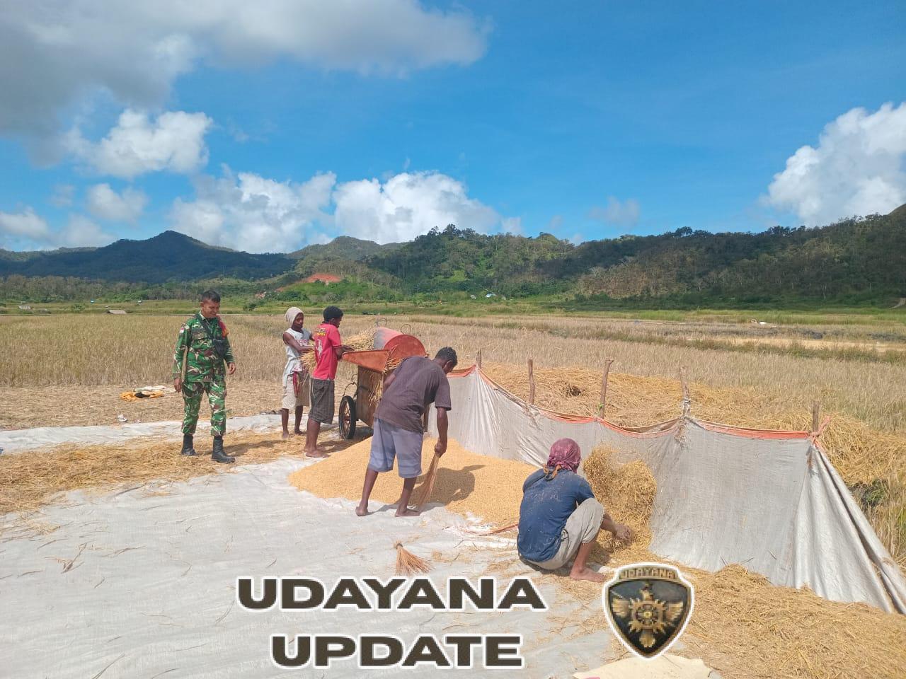 Babinsa Purnama Ajak Petani Kelola Hasil Panen untuk Kebutuhan Keluarga