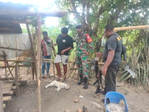 Babinsa Koramil 1603-04/Kewapante Hadiri Giat Eliminasi Anjing Liar di Wilayah Binaan