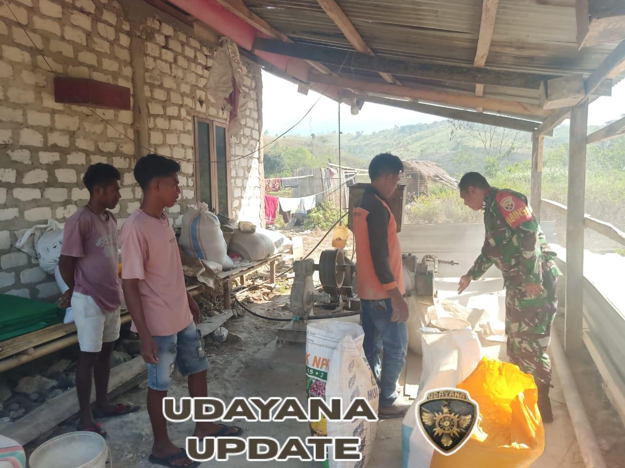 Babinsa Jalin Komsos dengan Pengusaha Penggilingan Padi di Maradesa