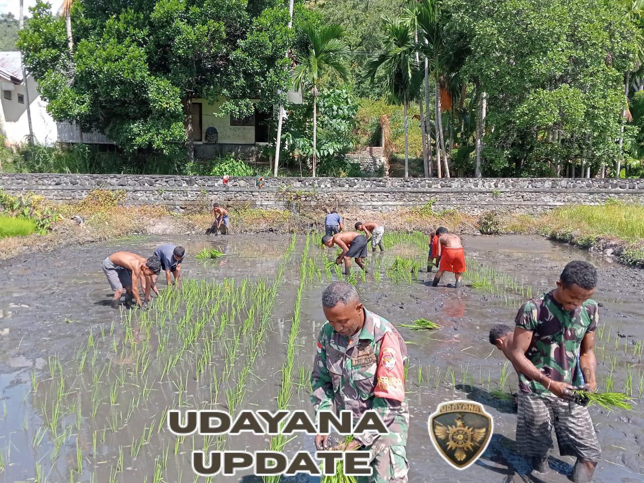 Babinsa Koramil 1622-04/Lembur Aktif Dampingi Warga Tingkatkan Ketahanan Pangan