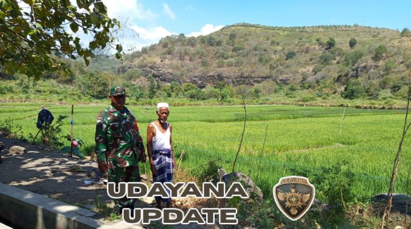Babinsa Kiwu Jalin Komsos Dukung Ketahanan Pangan