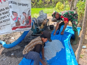 Tingkatkan Produktivitas Pertanian, Babinsa Ende Kawal Langsung Tanam Padi Warga