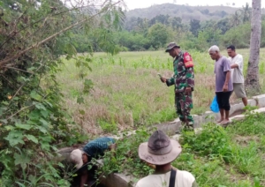 Irigasi Aman, Panen Nyaman: Babinsa Koramil 1612-04/Borong Dampingi Petani Cek Saluran Air