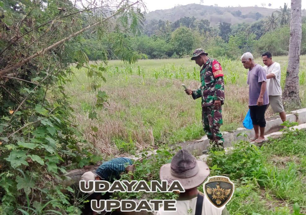 Irigasi Aman, Panen Nyaman: Babinsa Koramil 1612-04/Borong Dampingi Petani Cek Saluran Air