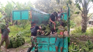 Pos Haslot Bersama Masyarakat Desa Alas Selatan Panen Pisang Untuk Dipasarkan
