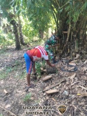 Sambut HUT RI ke-80, Babinsa Bantu Warga Potong Bambu Pasang Bendera di Lidabesi