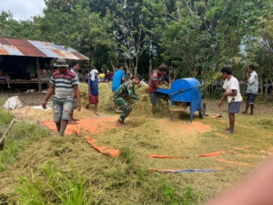 Pratu Aldit Aktif Dukung Ketahanan Pangan Lewat Pendampingan Petani