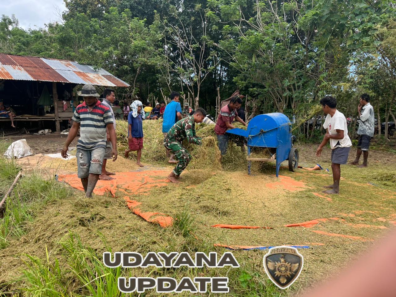 Pratu Aldit Aktif Dukung Ketahanan Pangan Lewat Pendampingan Petani