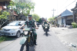 Asintel Kasad Tinjau Pelaksanaan TMMD Ke-125 di Gianyar, Bali
