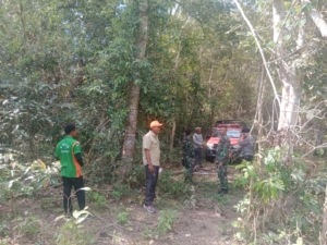 Patroli Gabungan Perangi Penebangan Liar dan Perburuan Satwa di Taman Nasional Tambora