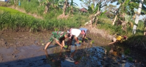 TNI Turun Sawah, Babinsa Pesinggahan Bantu Petani Tanam Padi