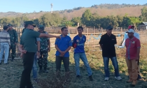 Pacuan Kuda Walikota Bima Cup 2025 Siap Hibur Warga Sambut HUT RI ke-80!