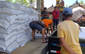 Babinsa Atensi Pendistribusian Pupuk dan Bibit Cabai