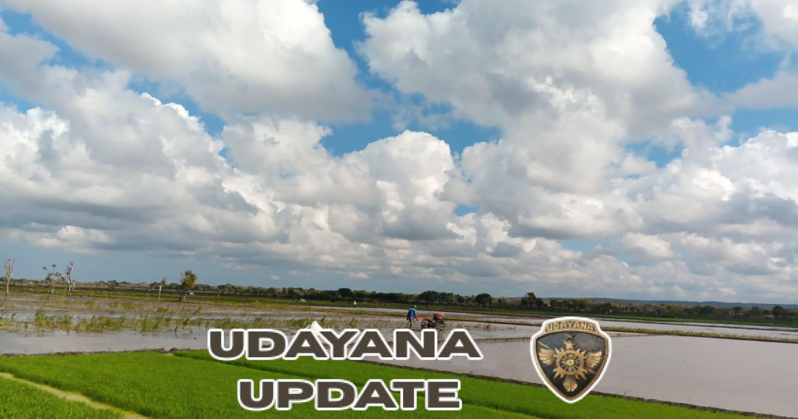 Babinsa dan Petani Bersatu, Sawah di Tanaraing Dibajak Gunakan Mesin Traktor