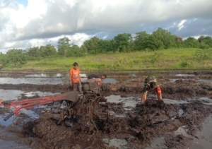 Babinsa Pahunga Lodu Turun ke Sawah, Bantu Petani Olah Sawah