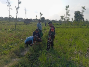 Babinsa Kawal Pengukuran Lahan Tresier, Untuk Program Optimasi Lahan