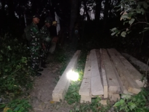 ‎Patroli Gabungan Lanjutkan Penelusuran Kasus Pembalakan Liar