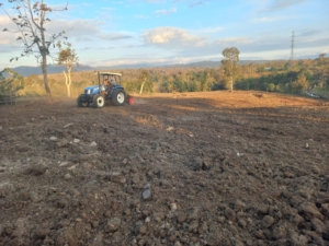 Capai 100 Persen, Optimasi Lahan Pertanian Program Unggulan Kasad Siap Ditanam