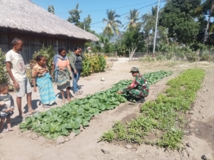 Babinsa Koramil Koramil 1618-03/Insut Giat Monitoring dan Sosialisasi Pemanfaatan Lahan Pekarangan