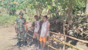 Sambut HUT RI Ke-80, Babinsa Sambangi dan Ajak Warga Buat Pagar Indah dan Jaga Kebersihan