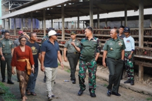 Pangkogapwilhan I Kunjungi Wilayah Kodam IX/Udayana, Terkesan Dengan Program Peternakan di Wilayah Bangli.