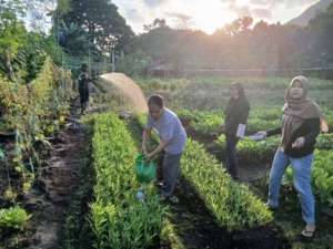 Babinsa Koramil 1602-01/Ende dan PPL Dampingi Pemupukan Kebun Sayur Warga di Pa’upire