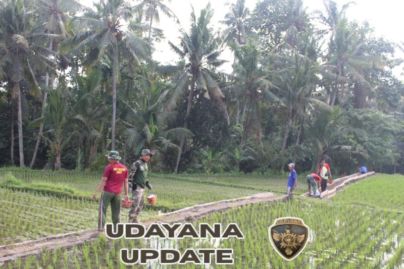 Dukungan Penuh Warga Desa Batuan, Pembangunan JUT TMMD 125 Hampir Tuntas