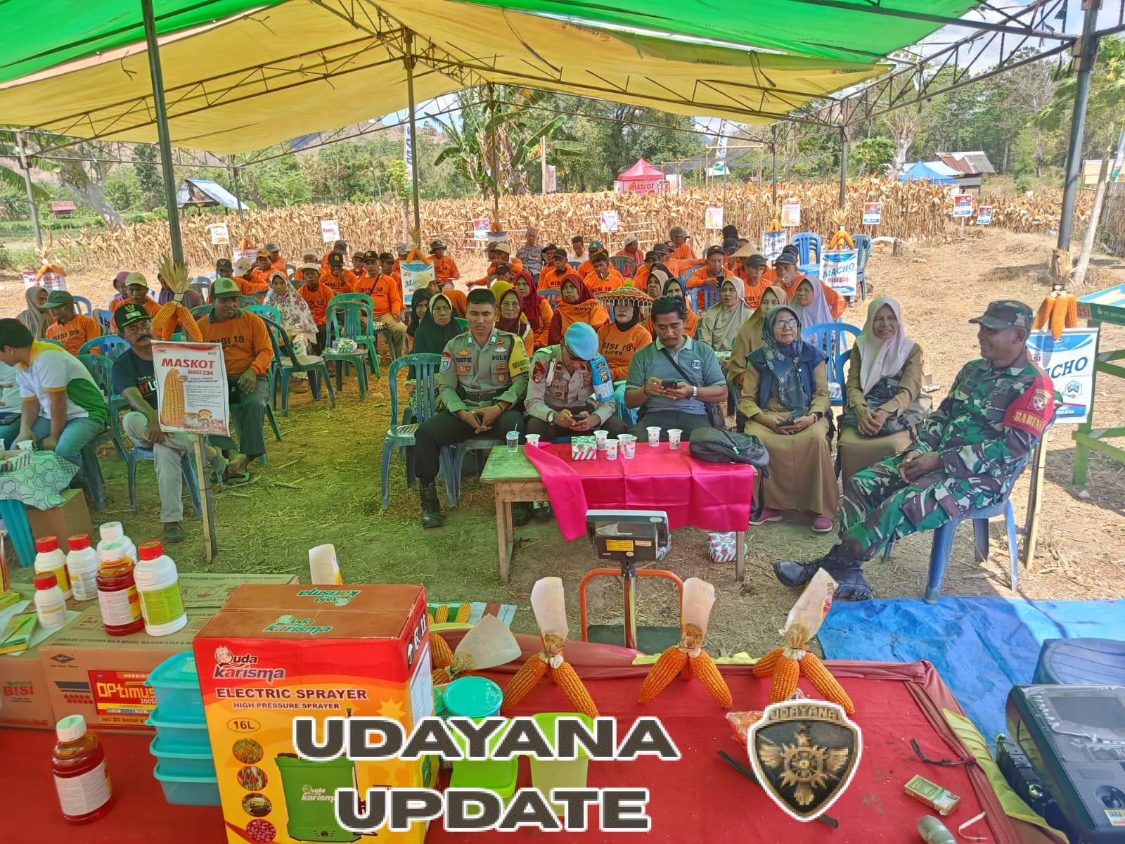 Babinsa dan Kepala Desa Dorong Masyarakat Terapkan Teknik Pertanian Modern Lewat FFD