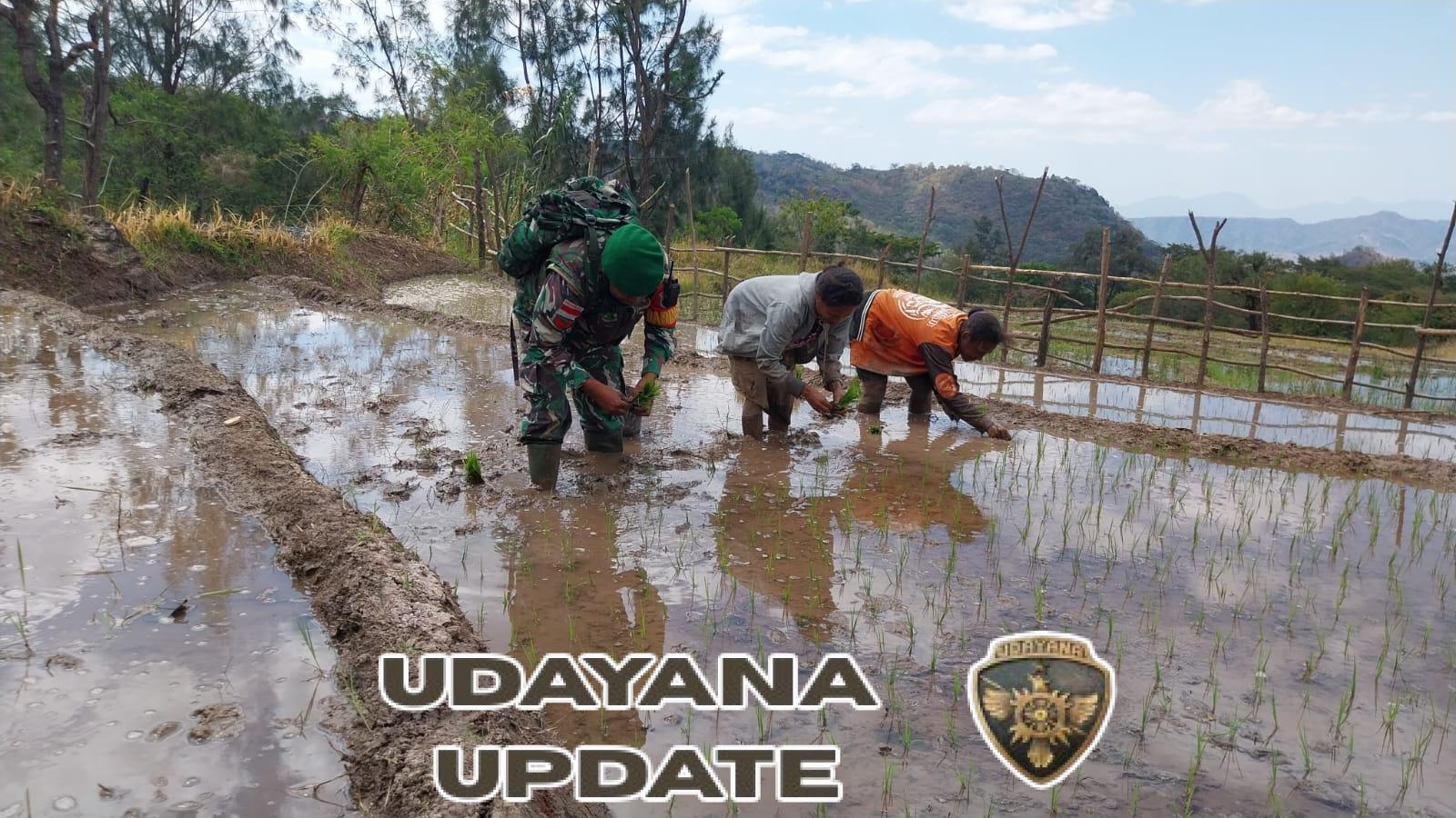 Babinsa Kopka Miguel Pererat Kerja Sama dengan Petani Dusun Oelfab