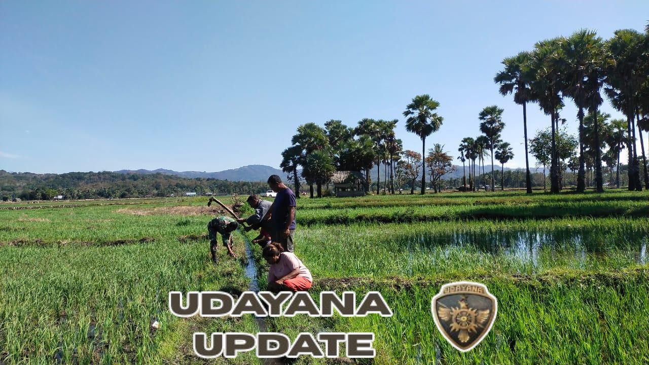 Kopda Siprianus Juanda Mau Dampingi Petani di Desa Hauteas, Bersihkan Saluran Air Sawah