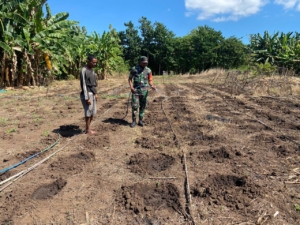 Babinsa Kodim 1624/Flotim Ajak Warga Manfaatkan Lahan Produktif